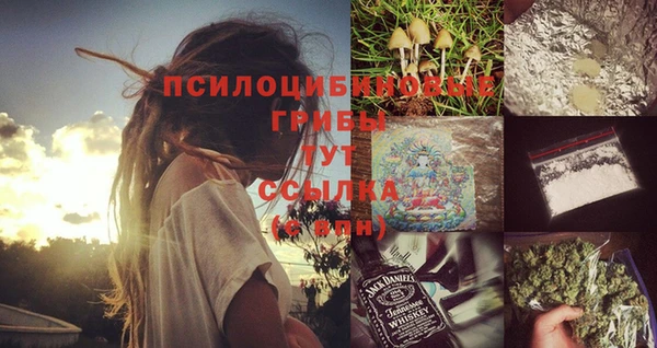 дурь Михайловка